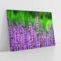 Obraz na płótnie 120x80 - Lawendowy urok - lawenda, kwiaty