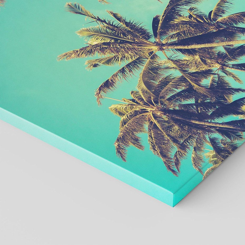 Obraz na płótnie 70x50 - Tropikalne palmy w krainie słonecznych wakacji - palmy, tropiki