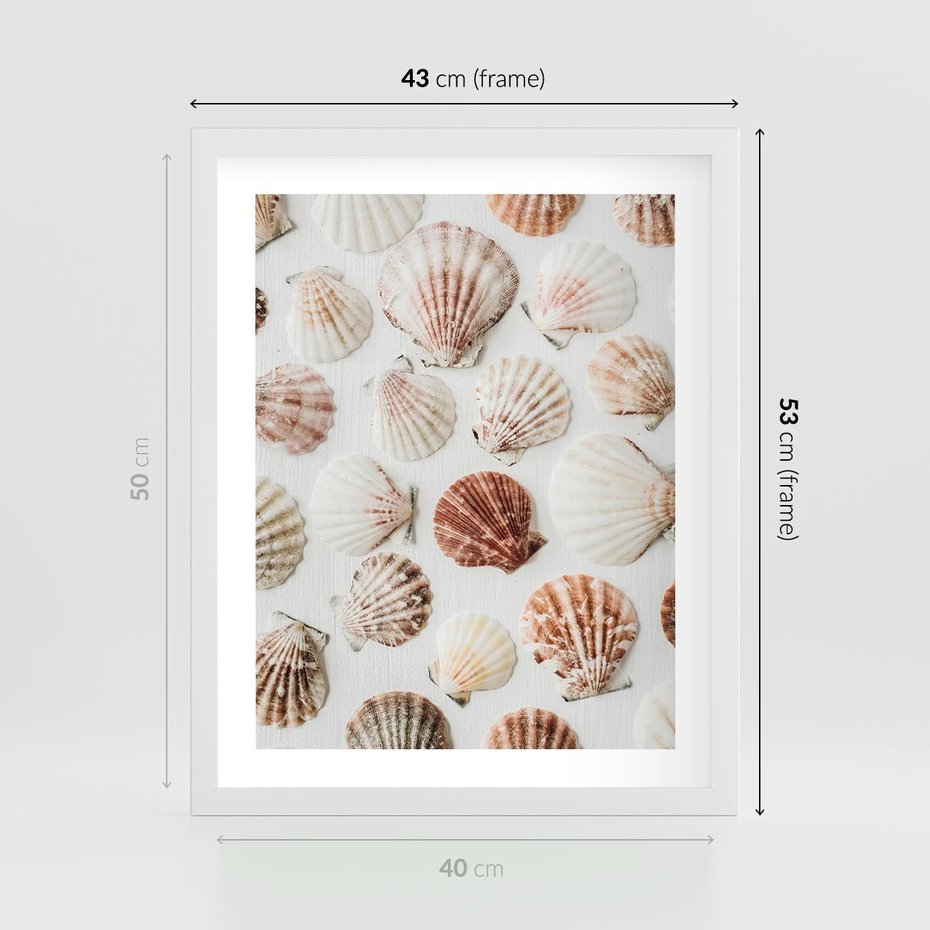 Plakat w ramie 40x50 - Morska Delikatność: Muszelki na Białym Tle - kompozycja, morskie muszelki na białym tle - rama biała