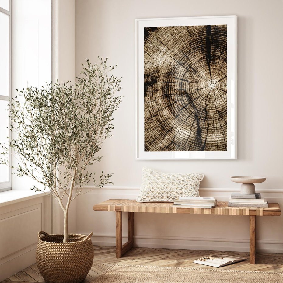 Plakat w ramie 50x70 - Natura Pod Lupą - pień drzewa, przekrój - rama biała