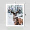 Plakat bez ramy 40x50 - Jeleń na Zdjęciu pod Śniegiem - jeleń, zima