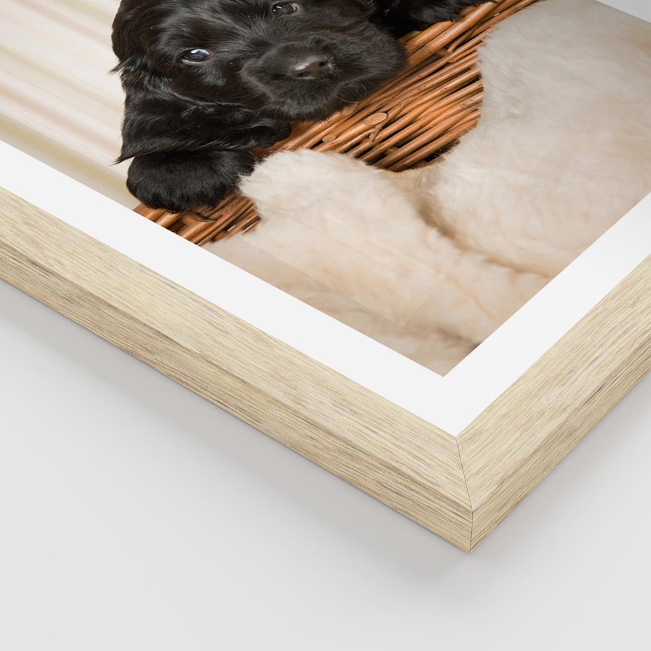 Plakat w ramie 30x40 - Uroczy szczeniak w akcji - piesek, szczeniak - rama drewno