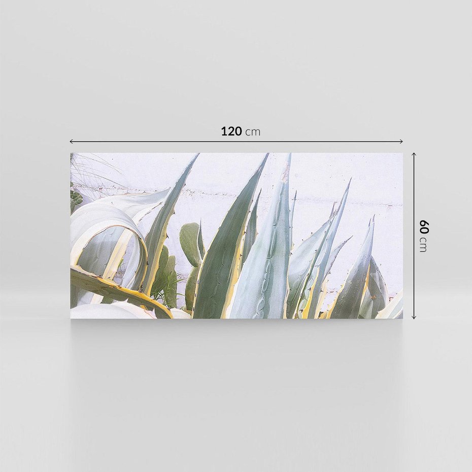 Obraz na płótnie 120x60 - Sukulentowe liście - liście, sukulenty