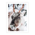 Plakat bez ramy 21x30 - Renifer w Zimowej Krainie - renifer, zima
