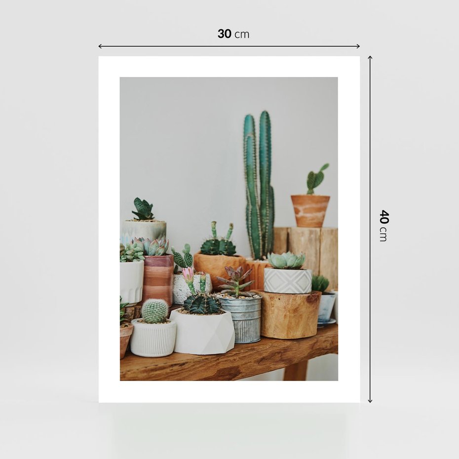 Plakat bez ramy 30x40 - Kaktusowa Galeria w Doniczkach - kaktusy w doniczkach, fotografia