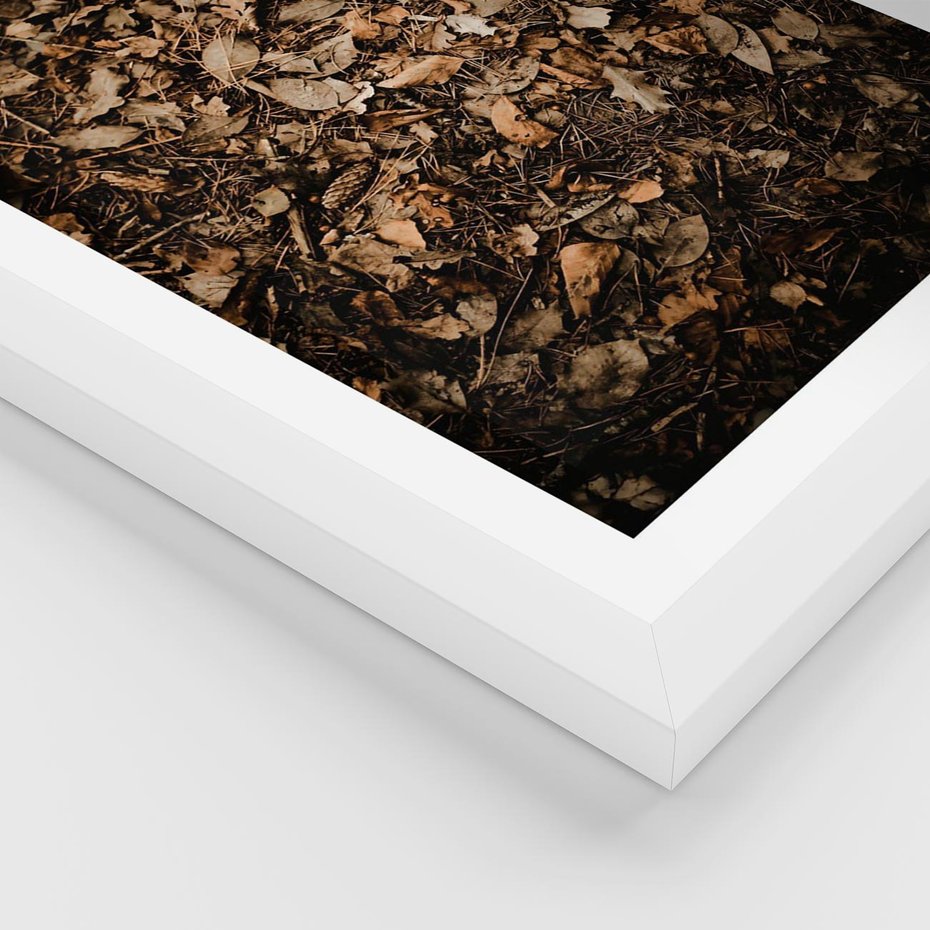 Plakat w ramie 30x40 - Brązowe Liście w Scenerii - suche liście jesień brąz - rama biała