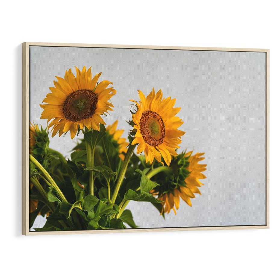 Obraz w ramie 120x80 - Słoneczna Radość - fotografia, żółte słoneczniki - rama drewno