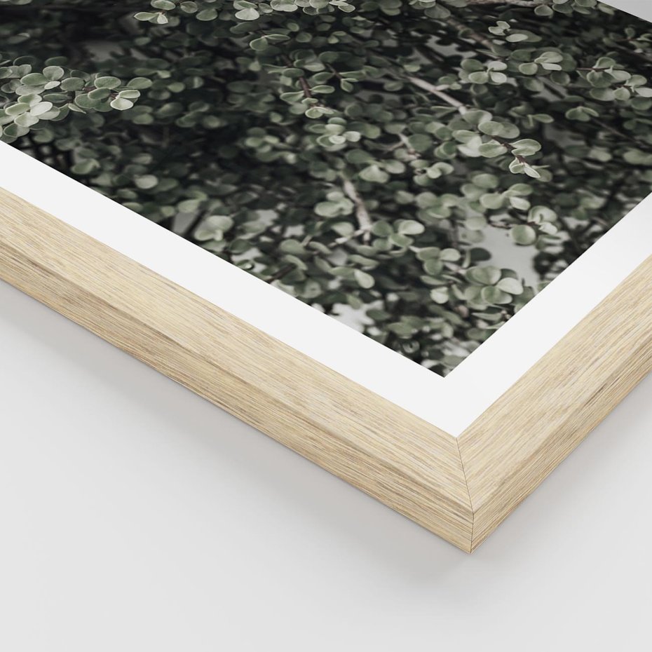 Plakat w ramie 30x40 - Jasnozielone Liście i Gałązki - liście, gałązki - rama drewno