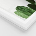 Plakat w ramie 40x50 - Minimalizm Natury - kaktus, zbliżenie - rama biała