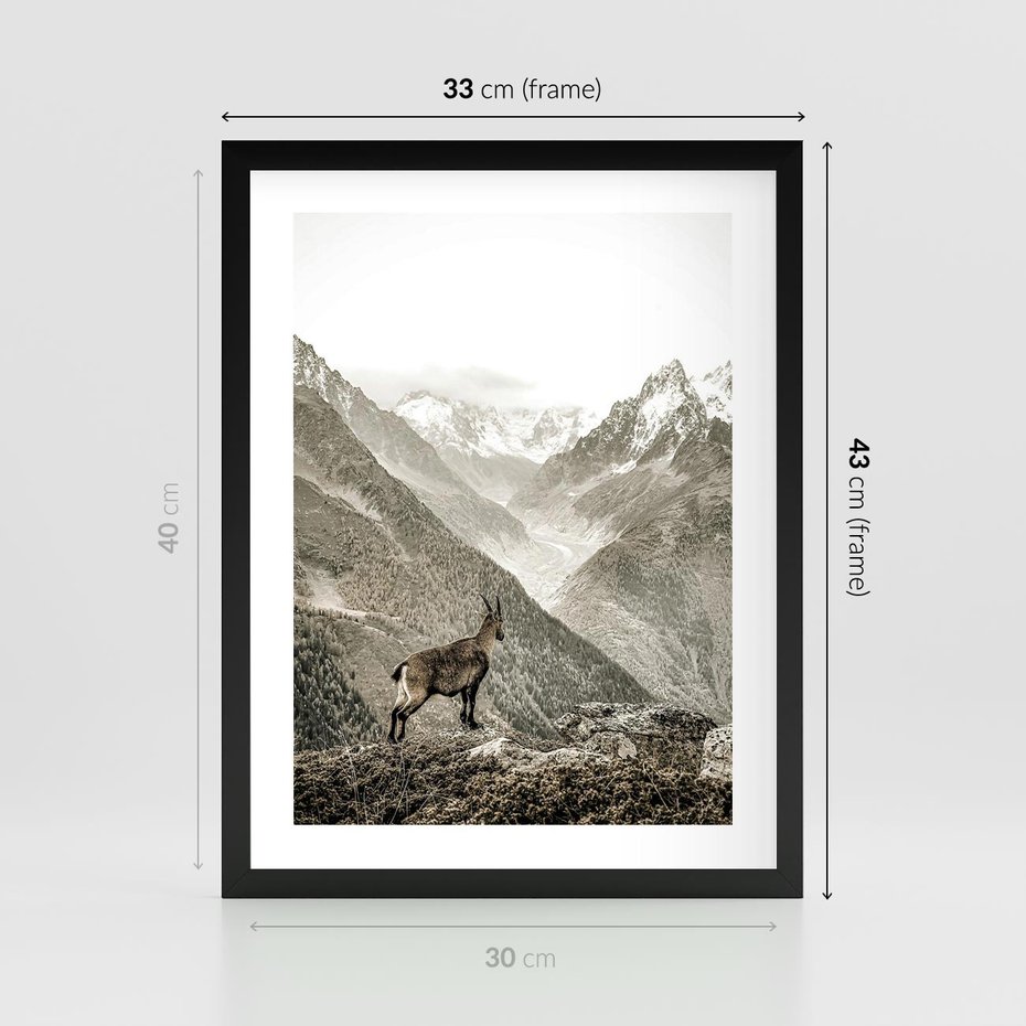 Plakat w ramie 30x40 - Dzikie Piękno: Kozica w Malowniczym Górskim Scenerii - kozica, góry - rama czarna