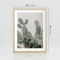 Plakat w ramie 30x40 - Imponujący Kaktus - duży kaktus, opuncja - rama drewno