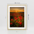 Plakat w ramie 30x40 - Maki przy zachodzie słońca - maki, zachód - rama drewno