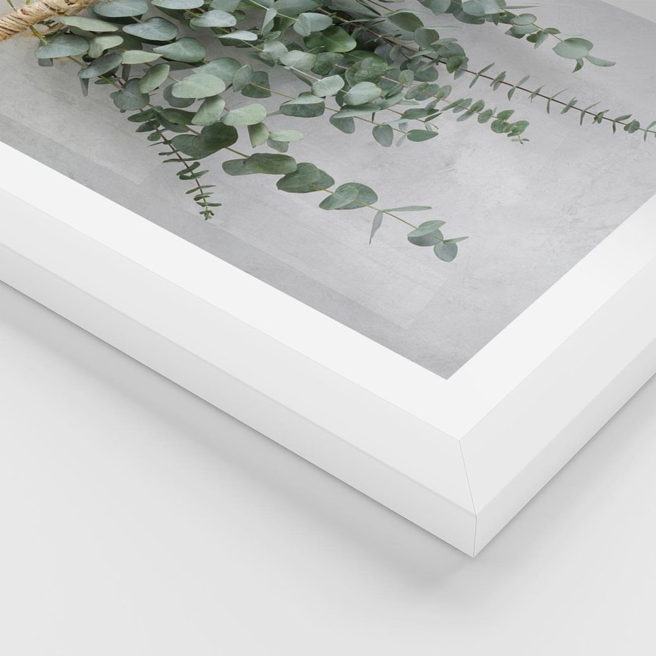 Plakat w ramie 40x50 - Uwodzicielska zieleń eukaliptusa - eukaliptus, zielone - rama biała