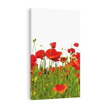 Obraz na płótnie 80x120 - Bujne maki na malowniczej łące - mak, maki
