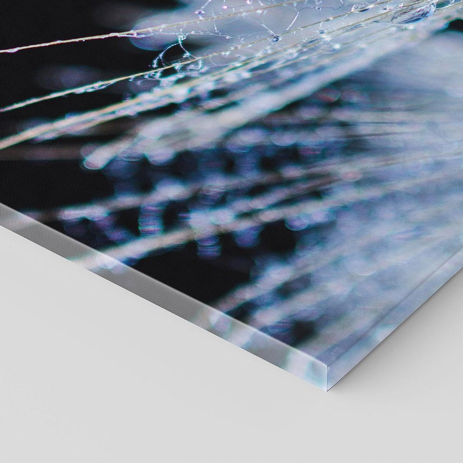 Obraz na płótnie 120x60 - Makro piękno dmuchawców - makro, dmuchawce