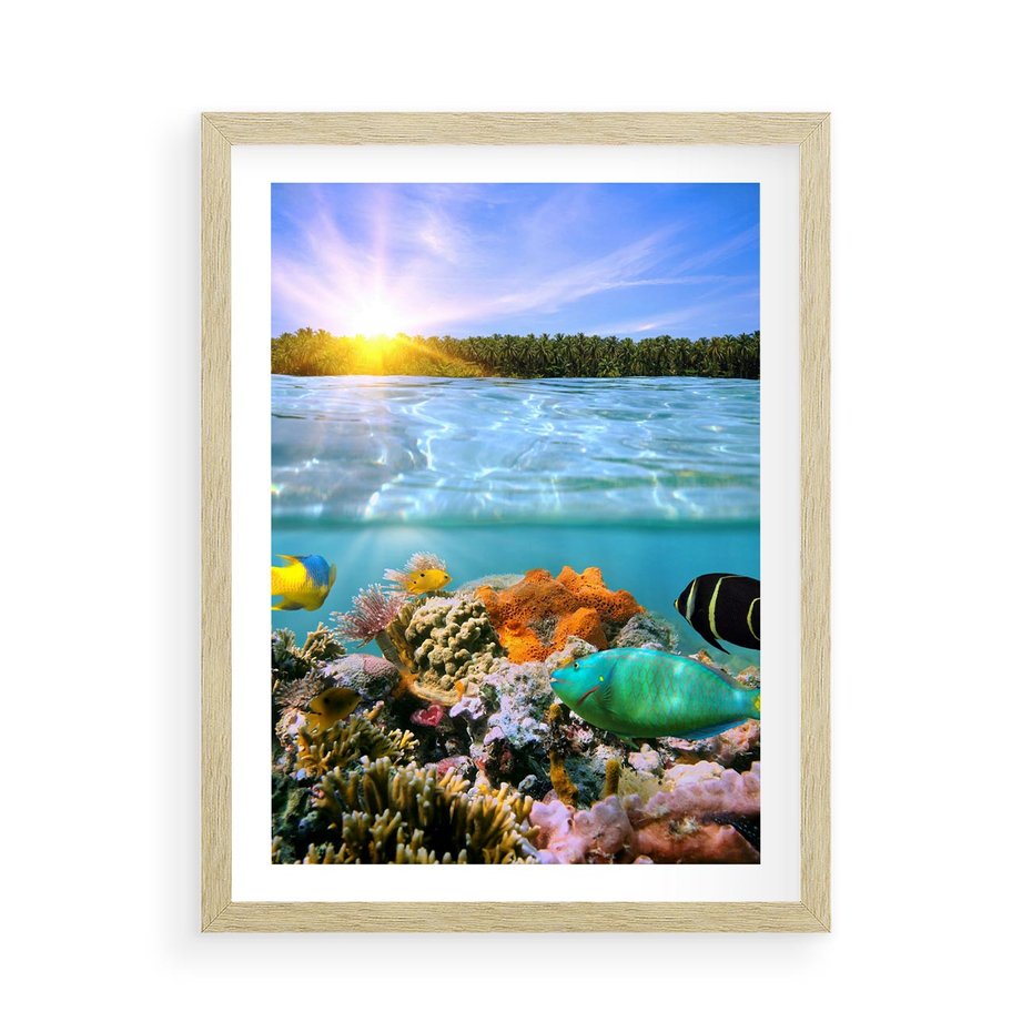 Plakat w ramie 50x70 - Rafa Koralowa - Podwodne Cuda - rafa, koralowa - rama drewno