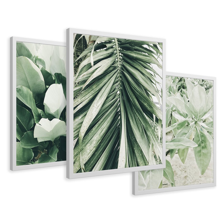 Zestaw obrazy w ramie 40x50 galeria - Liście, palma, monstera - rama biała