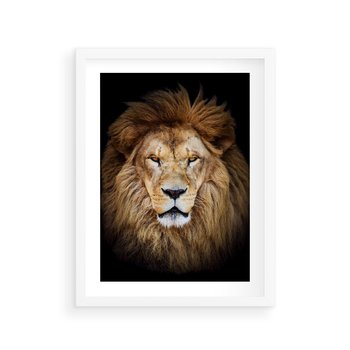 Plakat w ramie 30x40 - Król zwierząt w majestatycznym stylu - lew, król - rama biała