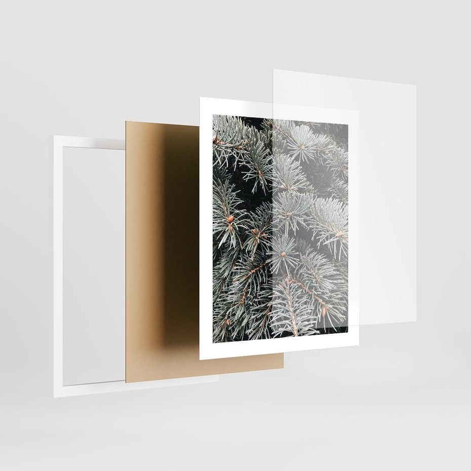 Plakat w ramie 40x50 - Zima na Gałęziach - sosnowe gałęzie, igły - rama biała