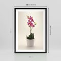 Plakat w ramie 50x70 - Delikatność storczyka orchidei - storczyk, orchidea - rama czarna