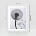 Plakat w ramie 40x50 - Lekkość Przemijania - dmuchawiec, makro - rama biała