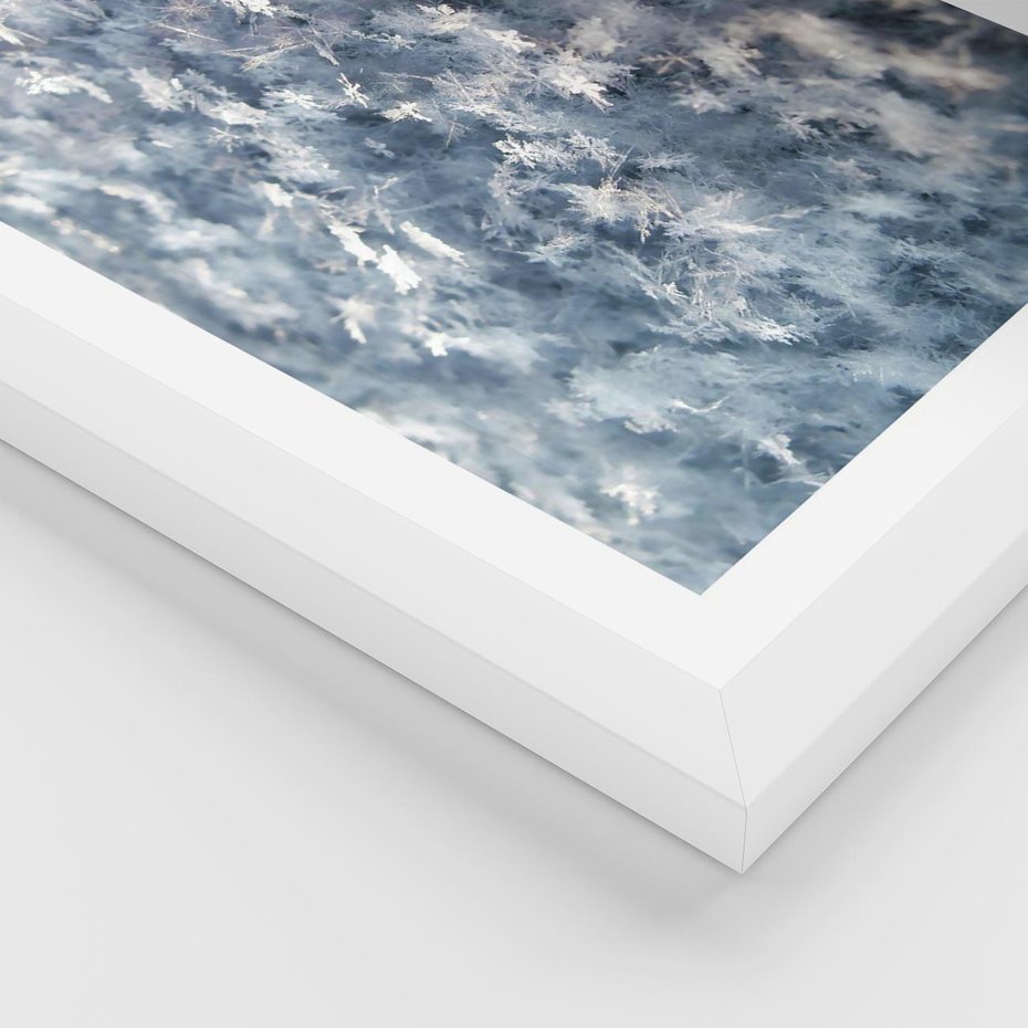 Plakat w ramie 30x40 - Magia Śnieżnych Kryształków - śnieg, szron - rama biała
