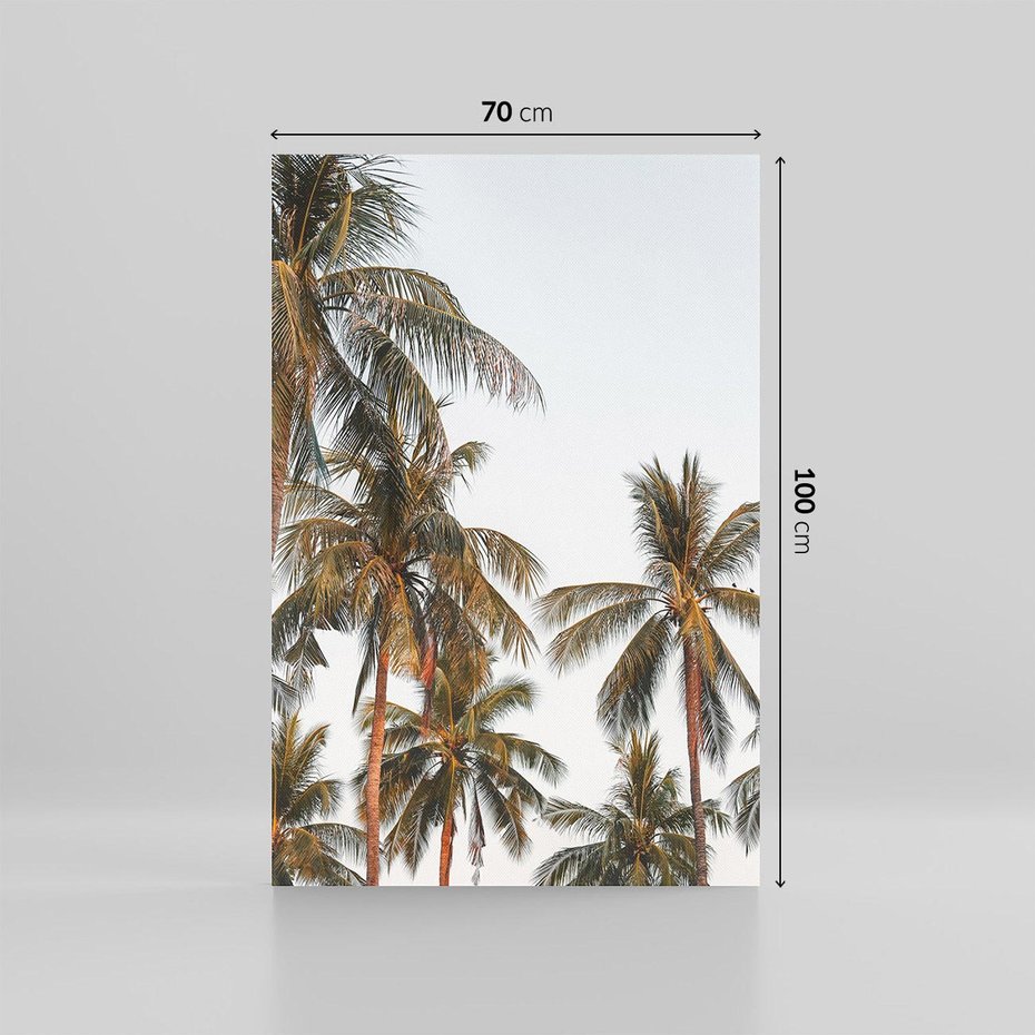 Obraz na płótnie 70x100 - Palmy - tęsknota za Hawajami - palmy, Hawaje