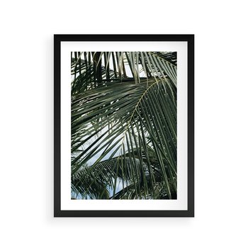 Plakat w ramie 40x50 - Wakacyjna Magia - palmy, tropiki - rama czarna