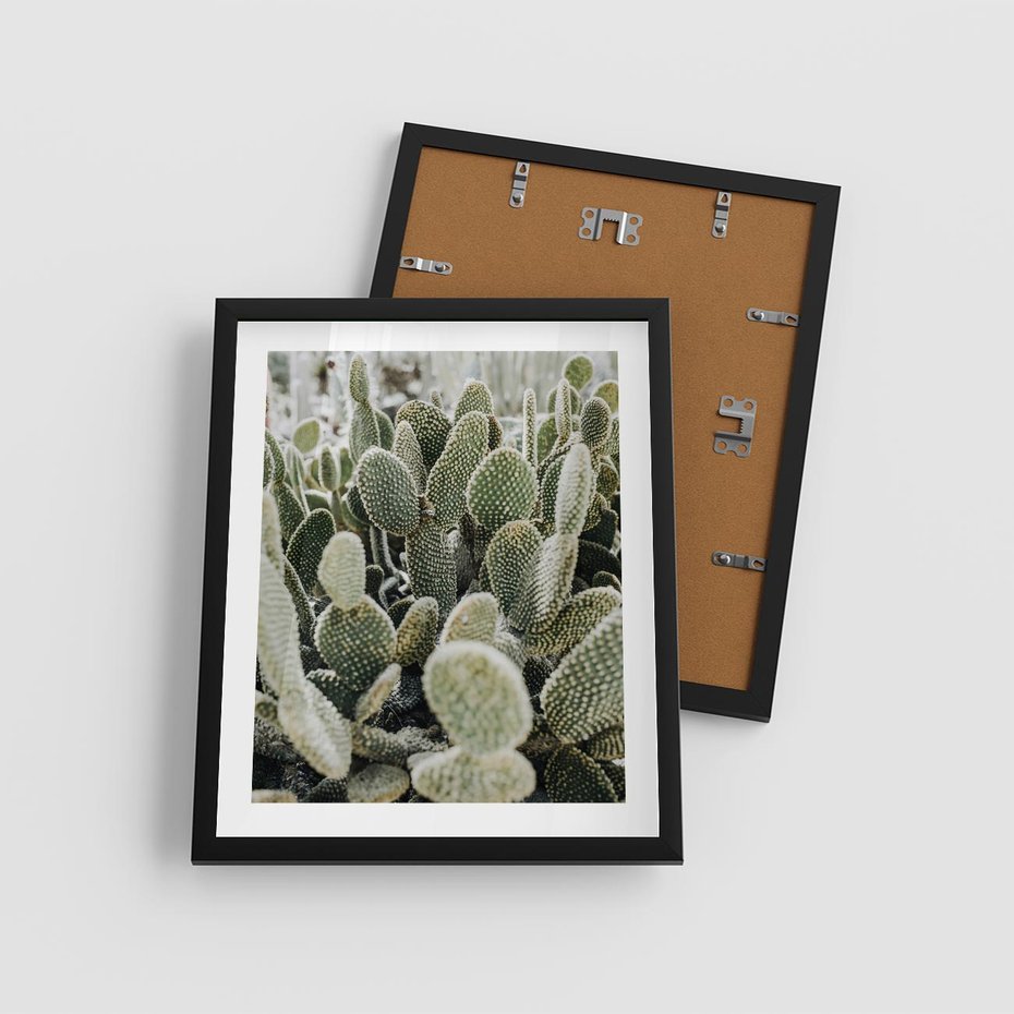 Plakat w ramie 40x50 - Kaktusowa Harmonia - kaktusy, fotografia - rama czarna