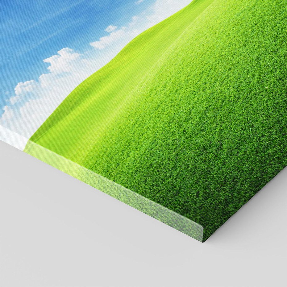 Obraz na płótnie 80x80 - Łąka pod Niebem - łąka, niebo