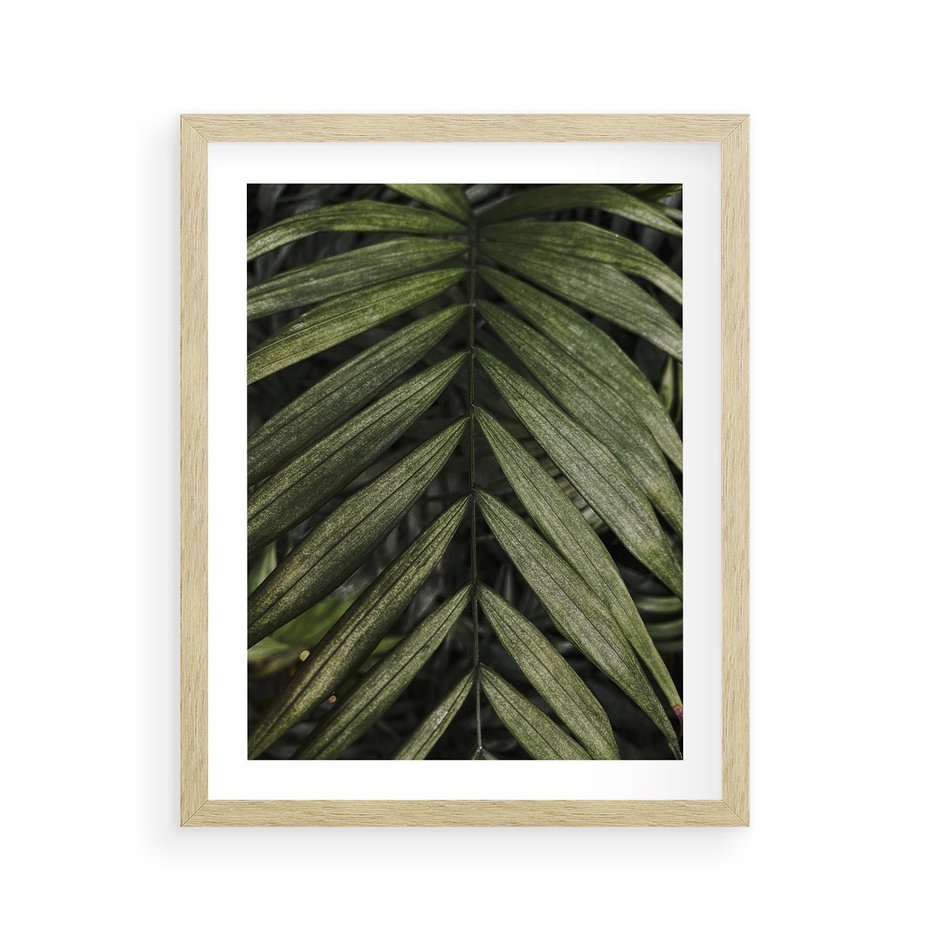 Plakat w ramie 40x50 - W Liściach Ukryte - zdjęcie, fotografia - rama drewno