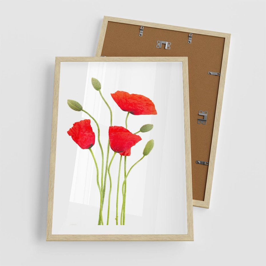 Plakat w ramie 50x70 - Pola maków w pełnym kolorze - maki, kwiaty - rama drewno