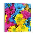Obraz na płótnie 40x40 - Kwiatowy Świat - kwiat, kwiaty