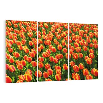 Obraz na płótnie 120x80 - Tulipanowa eksplozja - tulipany, kwiaty