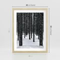 Plakat w ramie 40x50 - Zimowe Drzewa: Śnieg na Pniach - drzew w zimi, pnie drzew - rama drewno