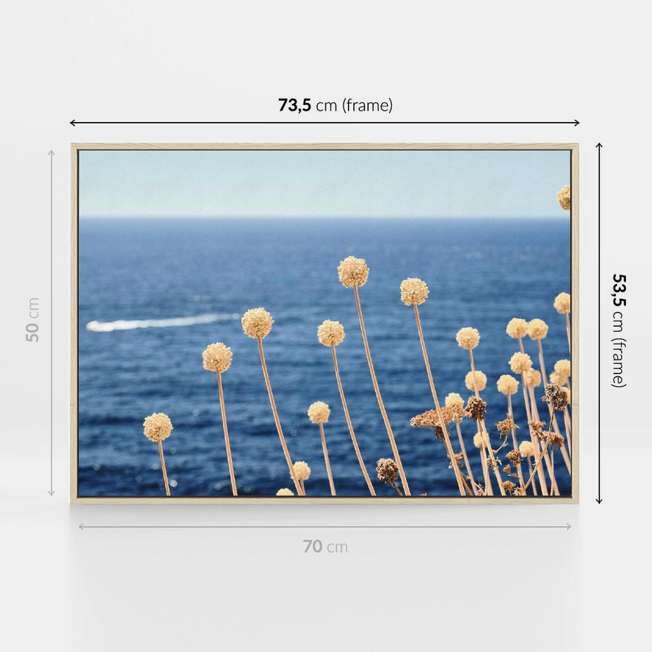 Obraz w ramie 70x50 - Kontrasty Natury - fotografia, pierwszy plan sucha roślinność - rama drewno