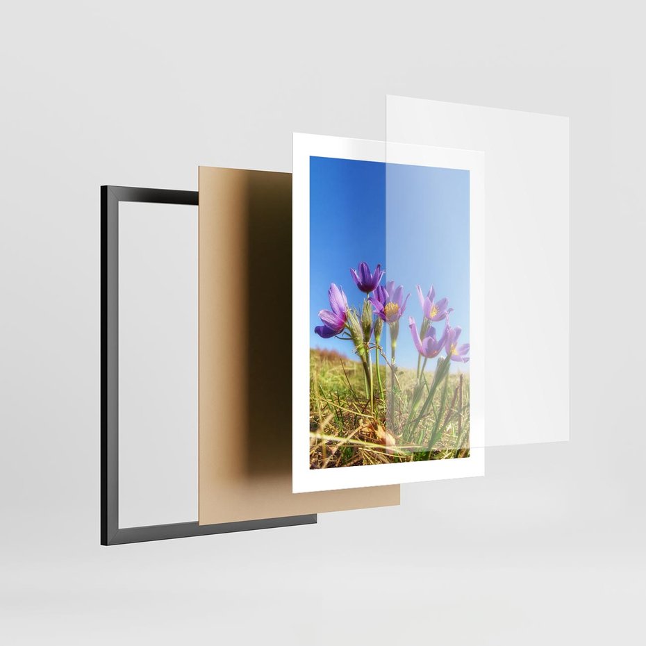 Plakat w ramie 30x40 - Kwiatowa siła łąki - kwiaty, łąka - rama czarna