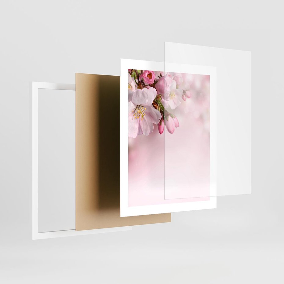 Plakat w ramie 40x50 - Kwitnąca wiśnia: delikatność natury - kwitnąca, wiśnia - rama biała