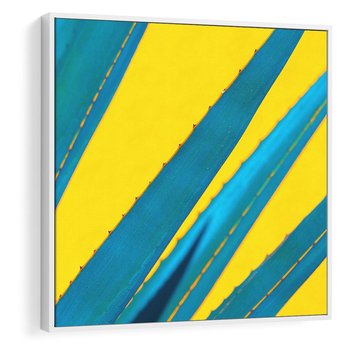 Obraz w ramie 50x50 - Świeżość Natury - aloes, liście - rama biała