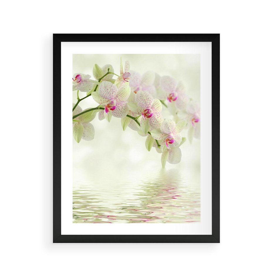 Plakat w ramie 40x50 - Orchidea w Spa - orchidea, kwiaty - rama czarna