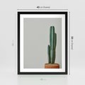 Plakat w ramie 40x50 - Zieleń i Subtelność - kaktusy, liście - rama czarna