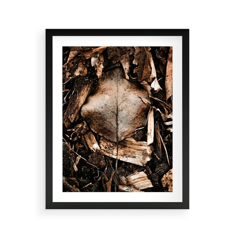Plakat w ramie 40x50 - Samotny Liść - liść, brąz - rama czarna