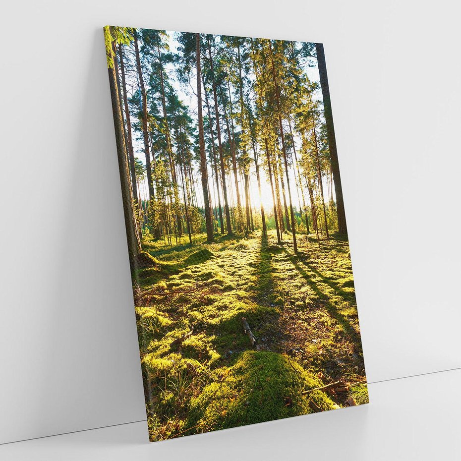 Obraz na płótnie 80x120 - Obfitość natury - las, drzewa