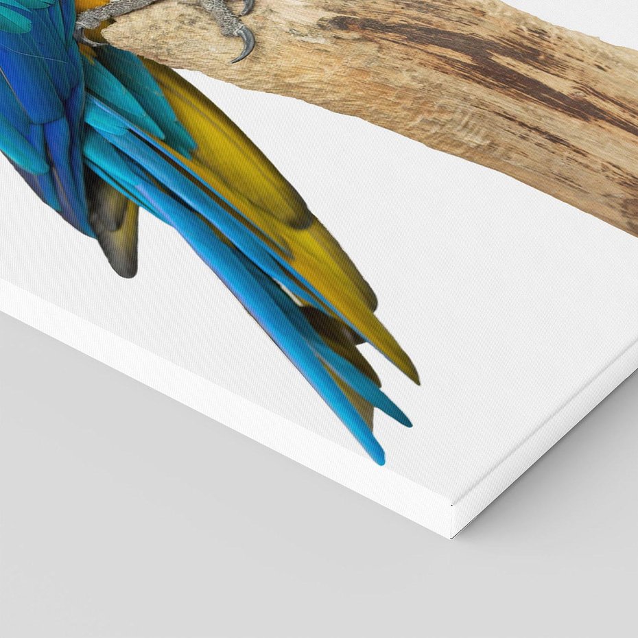 Obraz na płótnie 80x120 - Kolorowa papuga w locie - papuga, ptak