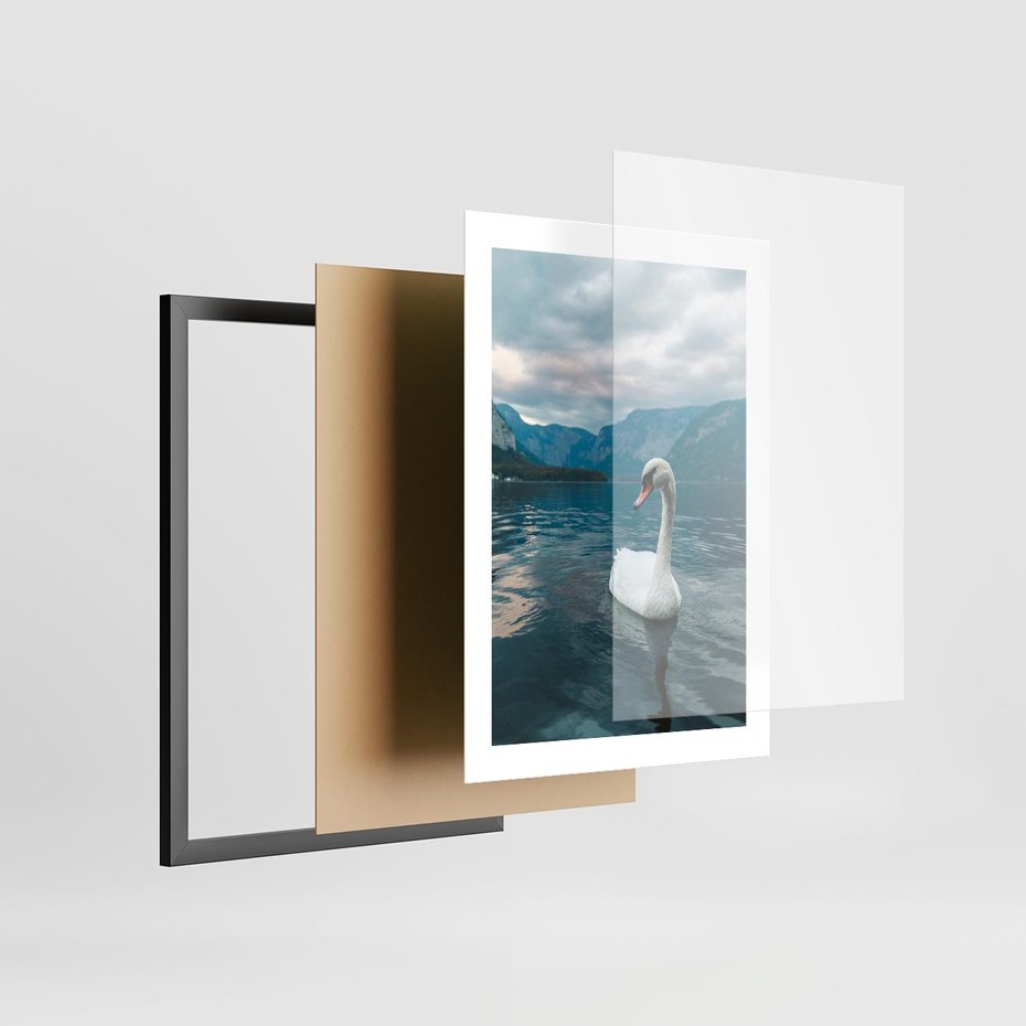 Plakat w ramie 30x40 - Łabędzi Śpiew - fotografia, plakat - rama czarna