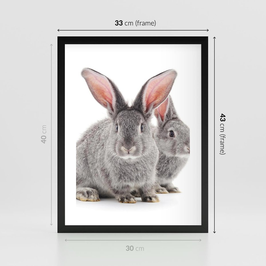 Plakat w ramie 30x40 - Uroczy królik wśród natury - królik, zając - rama czarna