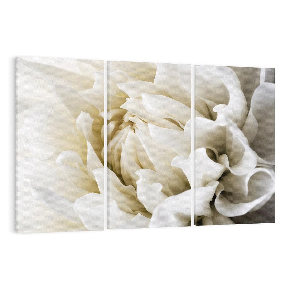 Obraz na płótnie 120x80 - Białe Kwiaty Delikatności - białe, kwiaty