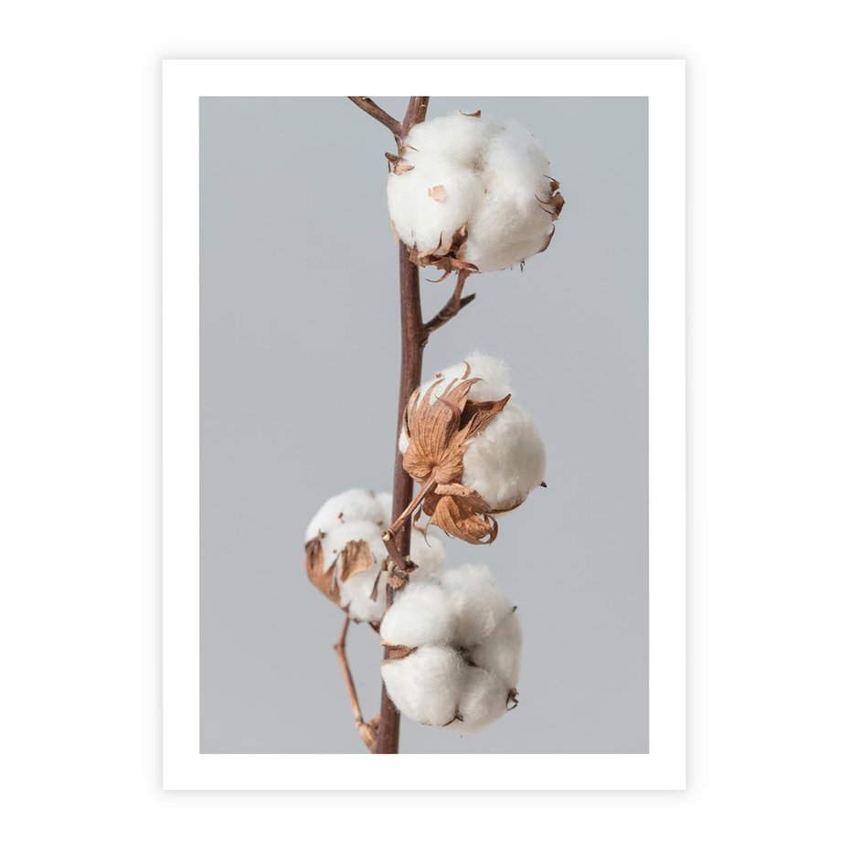 Plakat bez ramy 21x30 - Bawełniana boho miękkość - bawełna, boho