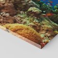 Obraz na płótnie 150x50 - Podwodne królestwo rafy koralowej - rafa, koralowa