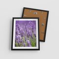 Plakat w ramie 40x50 - Urok lawendy - lawenda, kwiaty - rama czarna